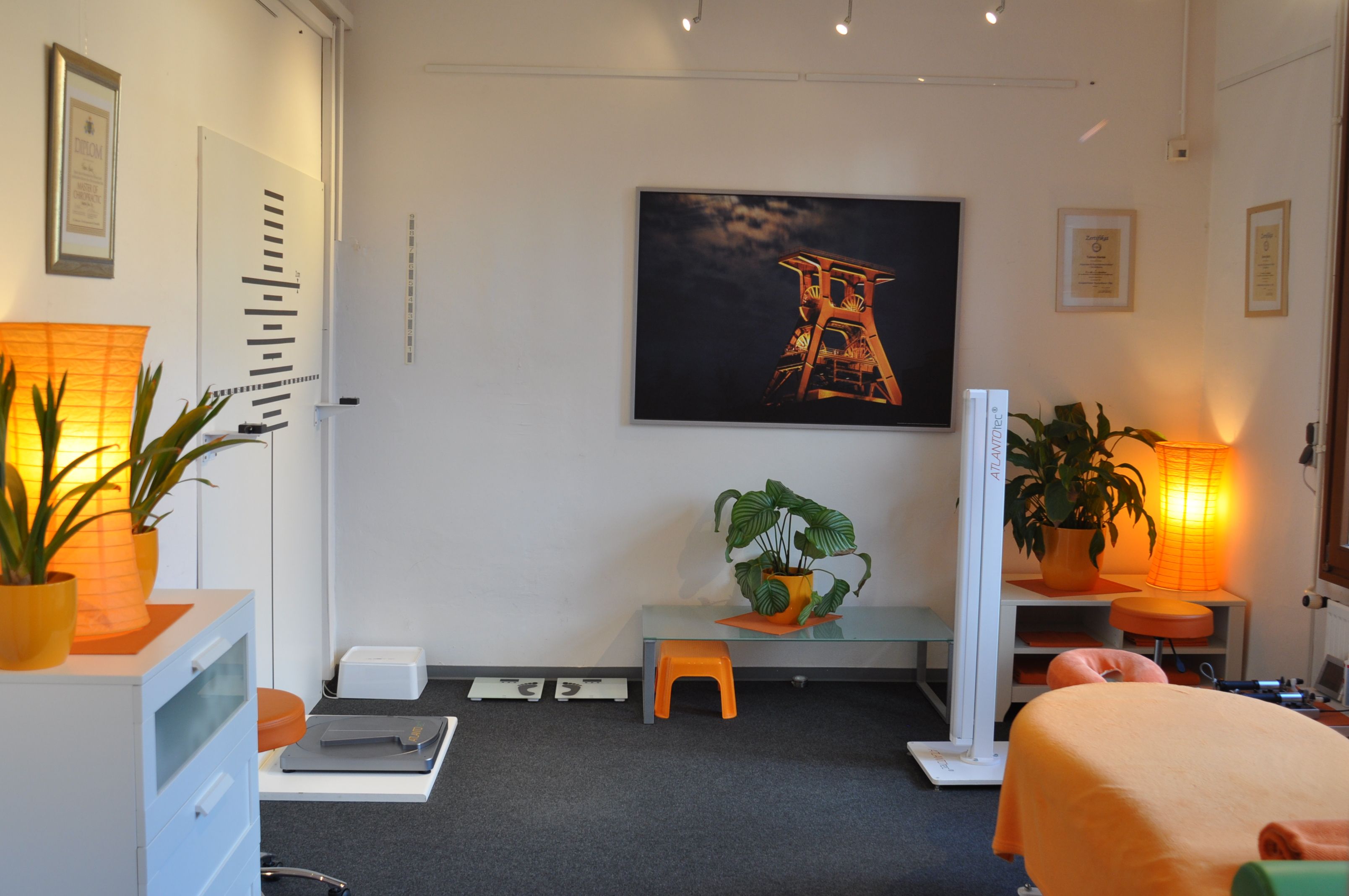 Chirocenter - Neurochiropraktisches Gesundheitszentrum Boris Biebl Start